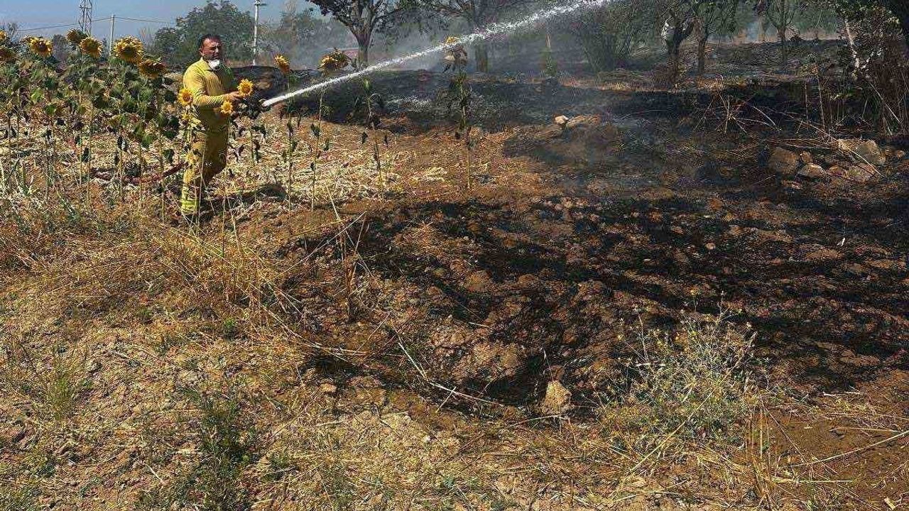 Bilecik'te biçimli tarlada çıkan ot yangını ekiplerin hızlı müdahalesiyle kontrol altına alındı