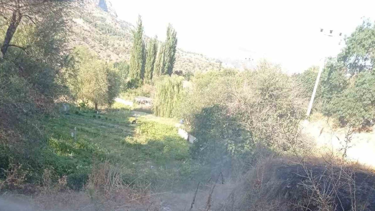 Bilecik'te çalılık yangını muhtarlık itfaiyesinin müdahalesiyle söndürüldü