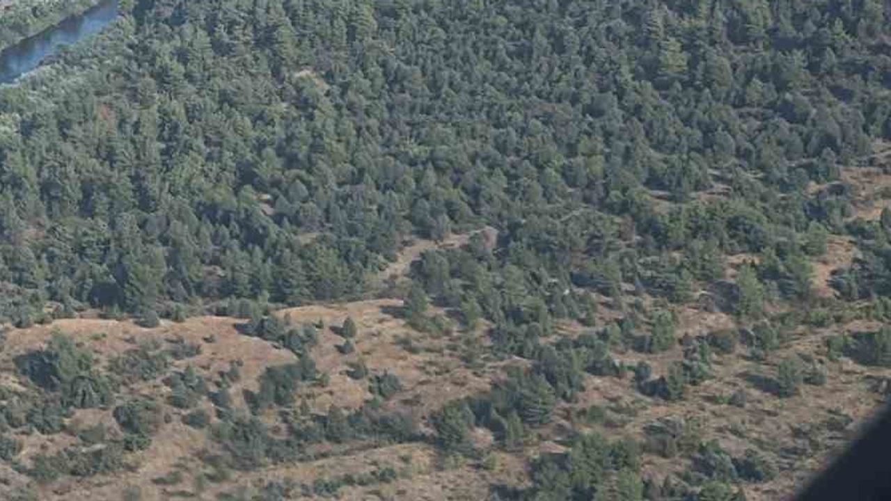 Bilecik'te çıkan orman yangını hızla kontrol altına alındı