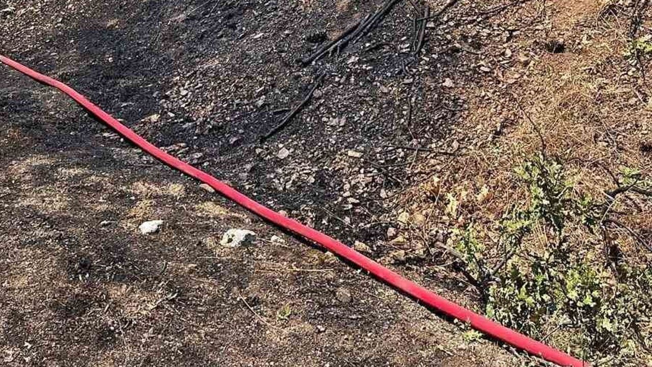 Bilecik'te Hamidiye Köyü yakınında orman yangını kontrol altına alındı