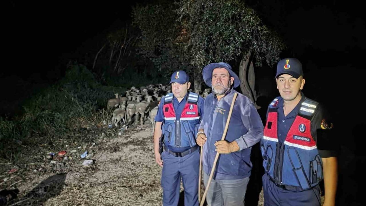 Bilecik'te jandarma araması sonucu kayıp çoban ve 100 koyun bulundu