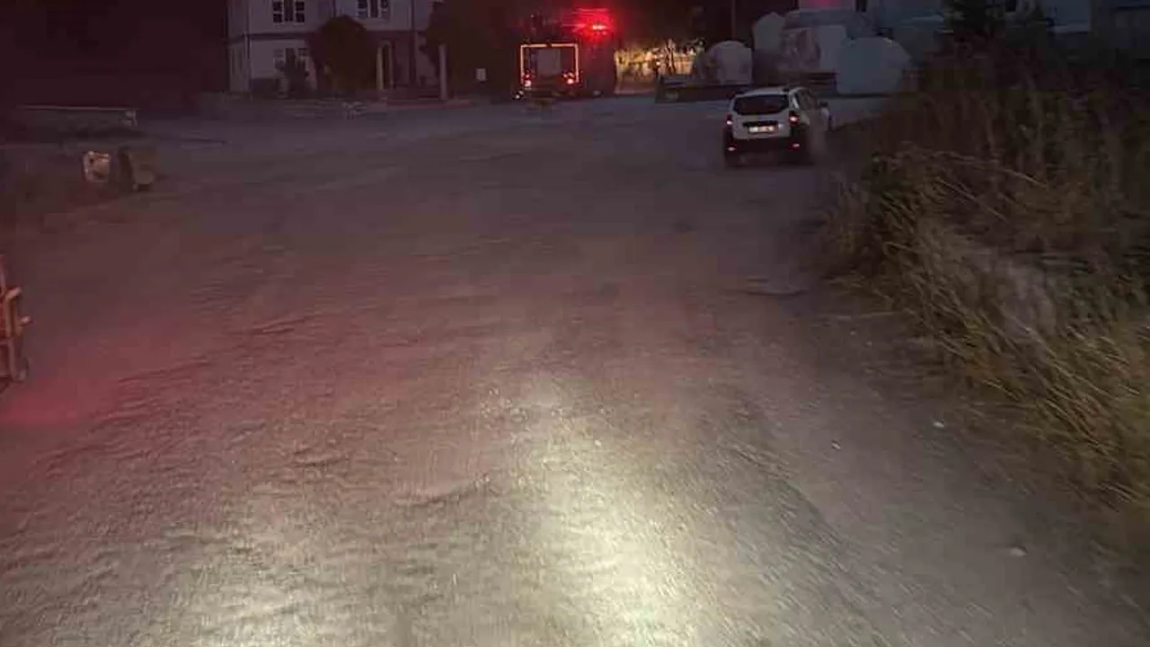 Bilecik'te kuşun çarpması kıvılcımı tetikledi: otluk yangını ekiplerin müdahalesiyle kontrol altına alındı