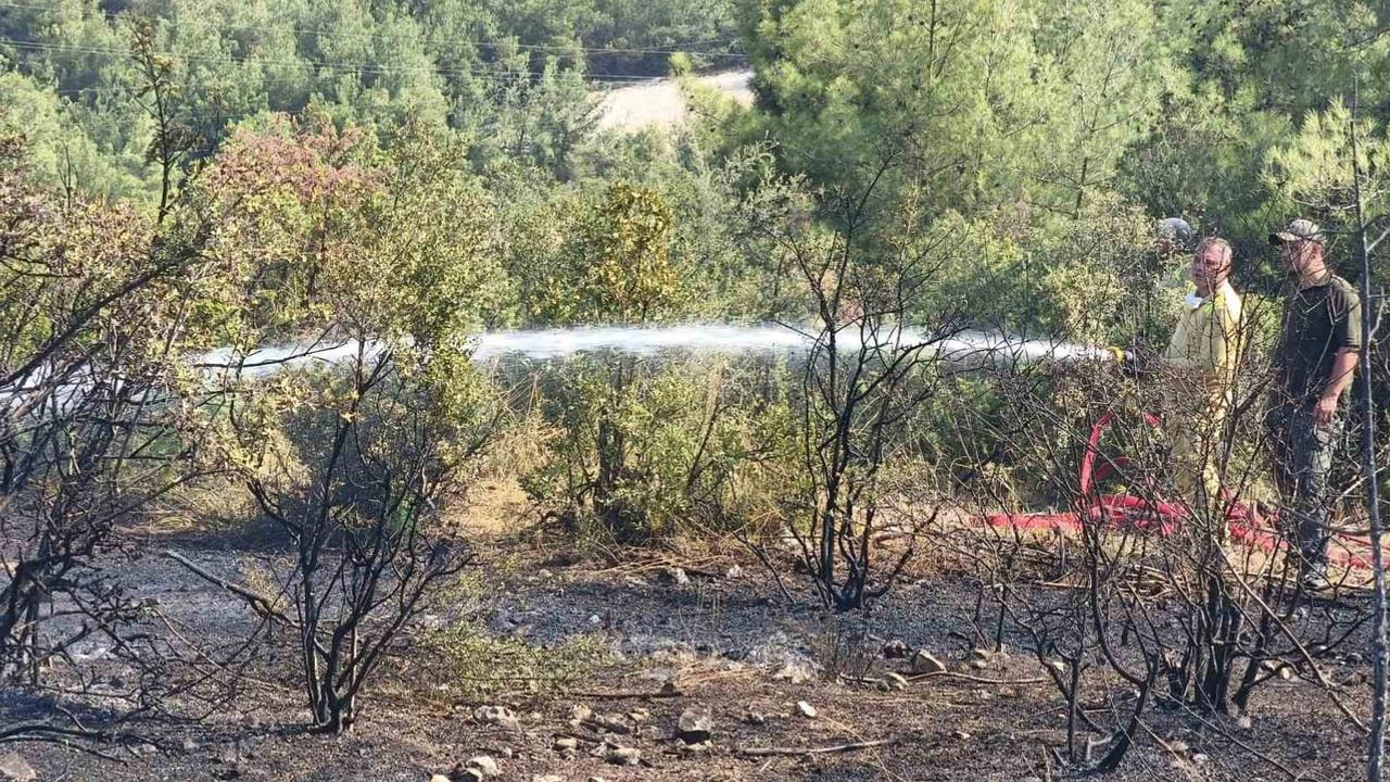 Bilecik'te makilikten ormana sıçrayan yangın ekiplerin çabasıyla kontrol altına alındı