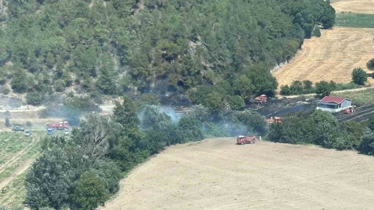 Bilecik'te Medetli mevkisinde orman yangını, çok yönlü müdahaleyle kontrol altına alındı