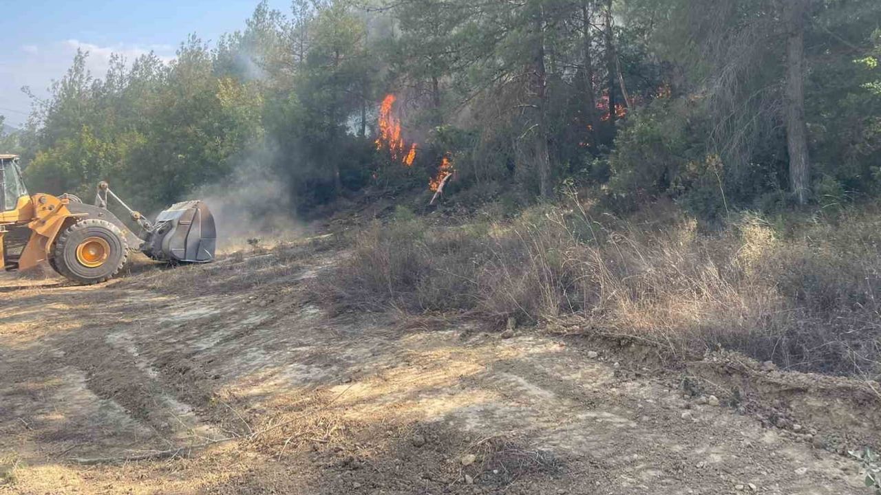Bilecik'te rüzgarla yayılan orman yangını 100 dönümlük alanı etkiledi