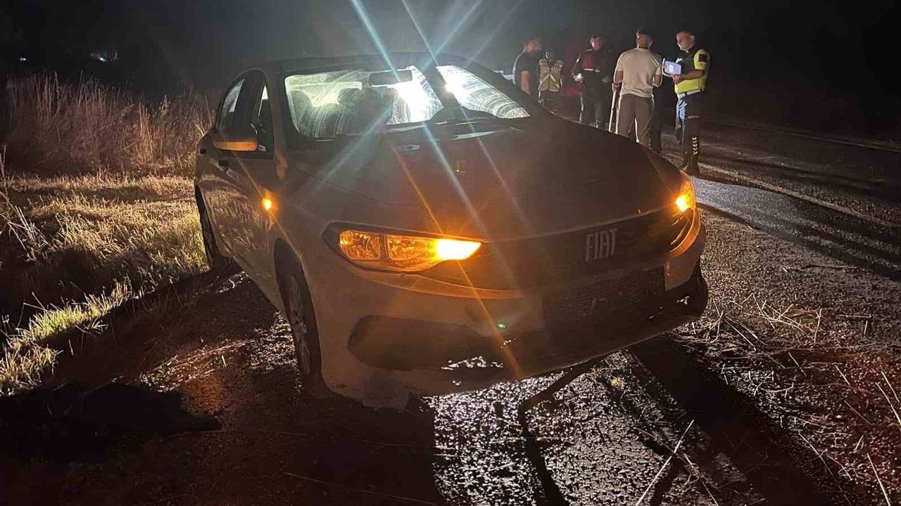 Bilecik'te şarampole yuvarlanan otomobilin sürücüsü yaralandı