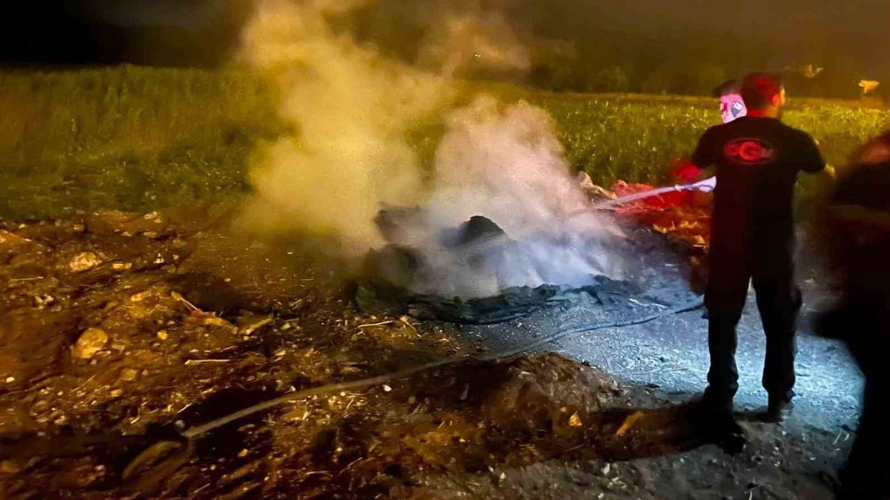 Bilecik’te yol kenarındaki çöp birikintisi kısa sürede söndürüldü