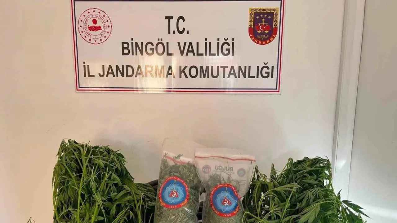 Bingöl'de güvenlik operasyonu: 5 kişi tutuklandı, çok sayıda uyuşturucu ve mühimmat ele geçirildi