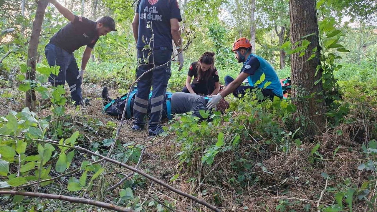 Bingöl-Erzurum karayolunda kontrol kaybı: otomobil bahçeye uçtu, 2 yaralı