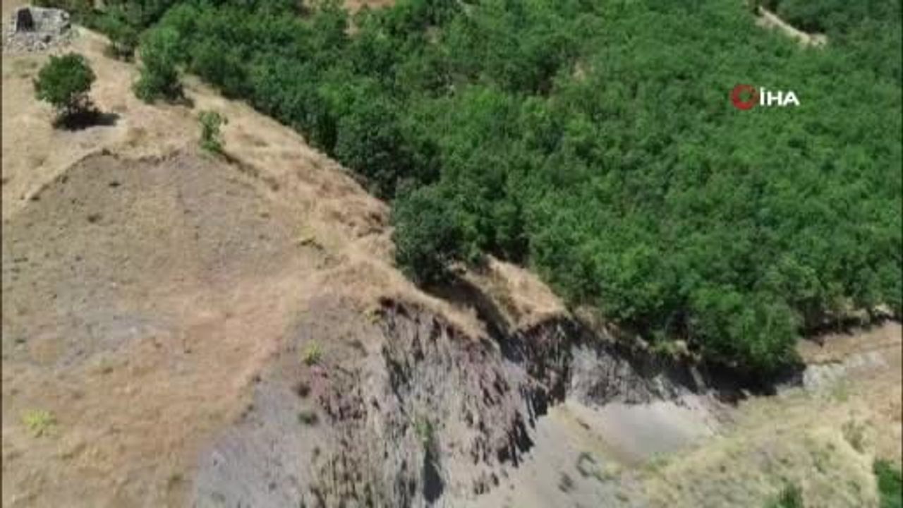 Bingöl Ilıcalar'da nesli tehlike altındaki dağ keçisi havadan görüntülendi