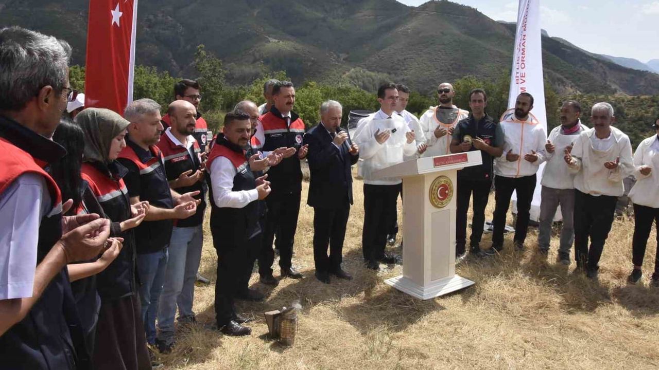 bitlis balında yağışlar bereket getirdi, üreticiler umutlu
