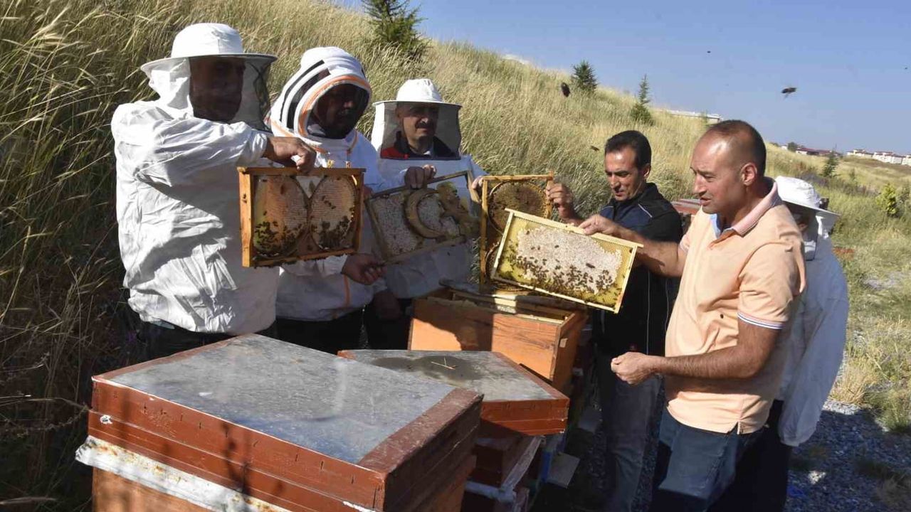 Bitlis Eren Üniversitesi'nden laboratuvar destekli bal hasadı ve ana arı üretimi