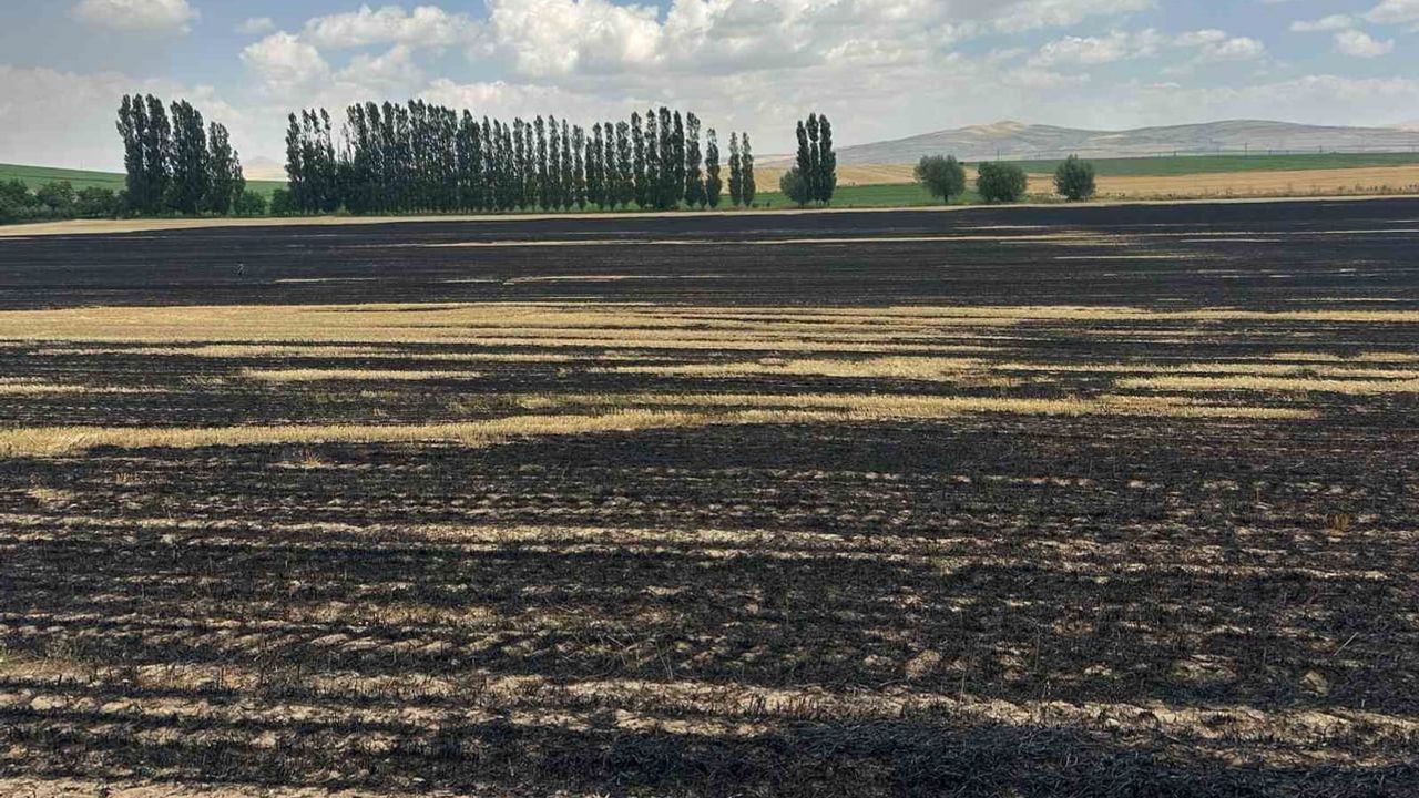 Bitlis'te örtü yangını 400 dönümlük tarım arazisine zarar verdi