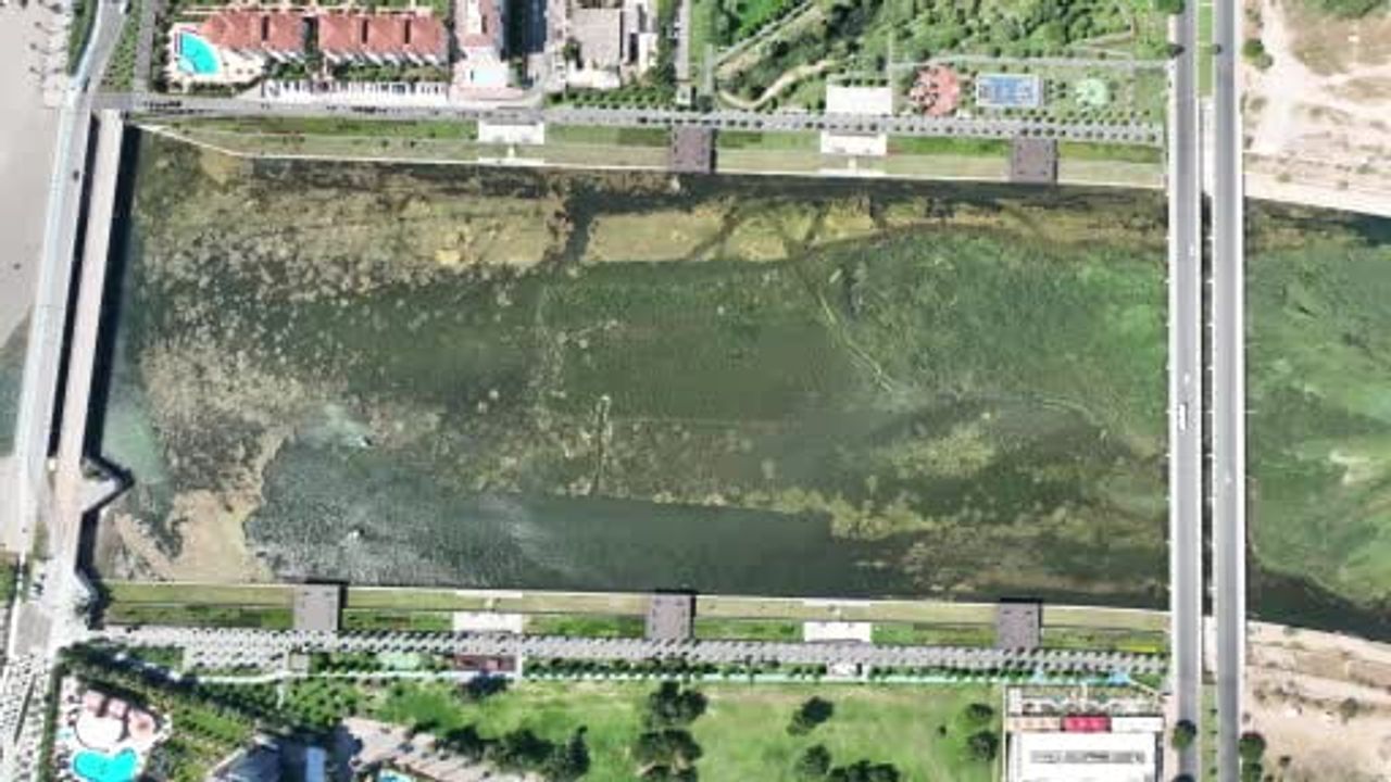 Boğaçayı'nda sucul ot temizliği: Caretta ve Mavi Yengeç görevde