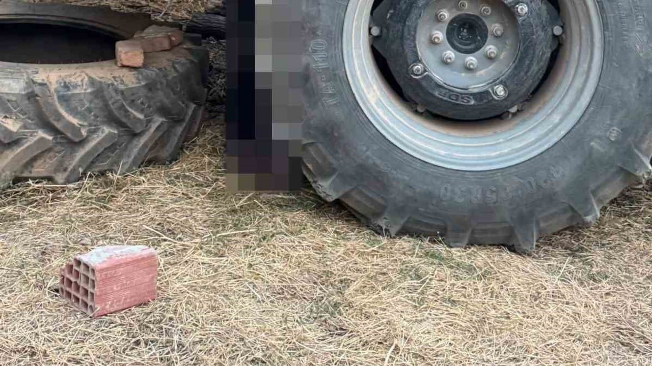 Bölmekaya'da kesim çalışmasında traktör römorka sıkıştı, işçi öldü