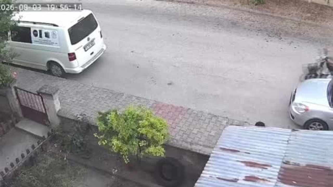 Bolu'da kameraya yansıyan yavru kedi ölümü sonrası 15 yaşındaki şüpheli serbest kaldı