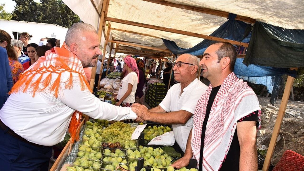Bozalan inciri Menemen'de sofraya ve üreticiye can veriyor