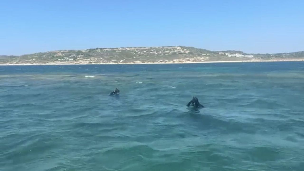 Bozcaada'da zıpkınla avlanan dalgıç için sonar destekli arama çalışmaları sürüyor