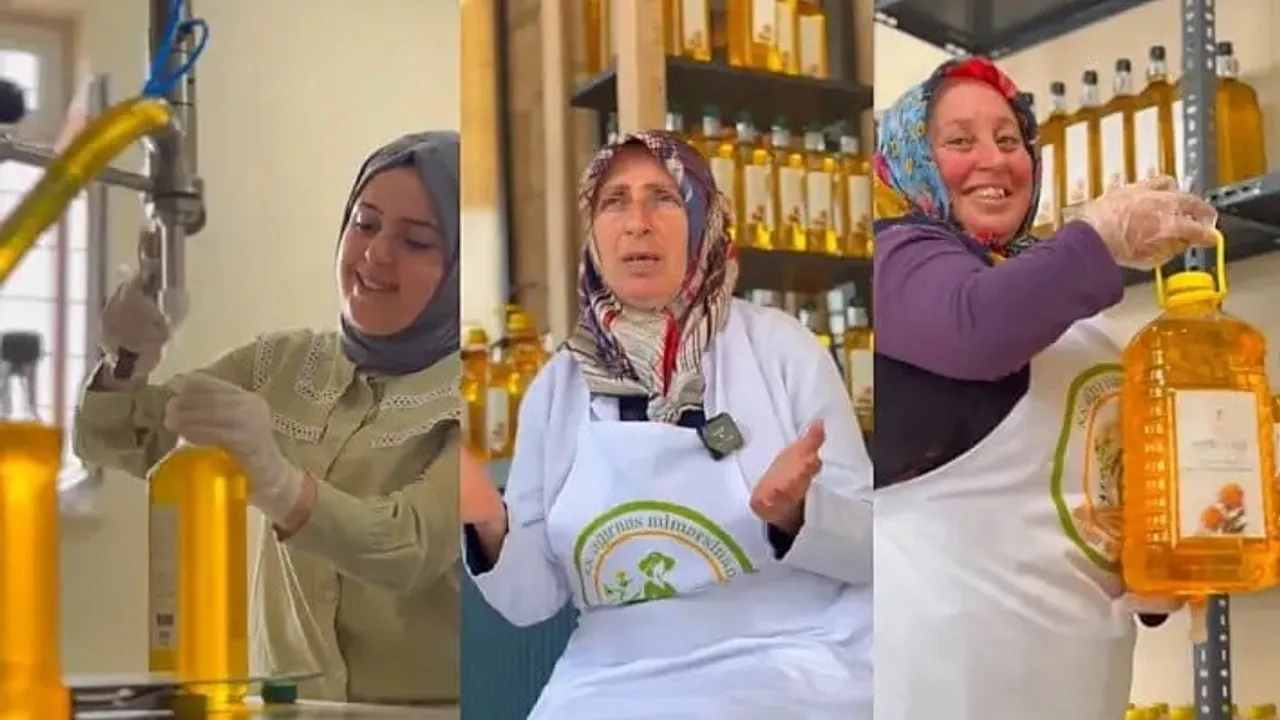Bozkırın altın damlası: Kayseri aspir yağı laboratuvarla tescillendi