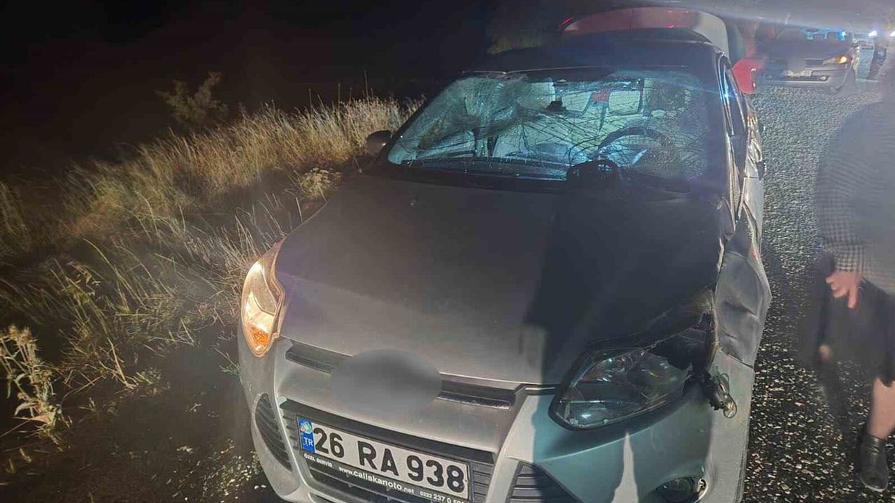 Bozüyük'te gece yolculuğu ölümle bitti: aniden yola fırlayan geyik telef oldu