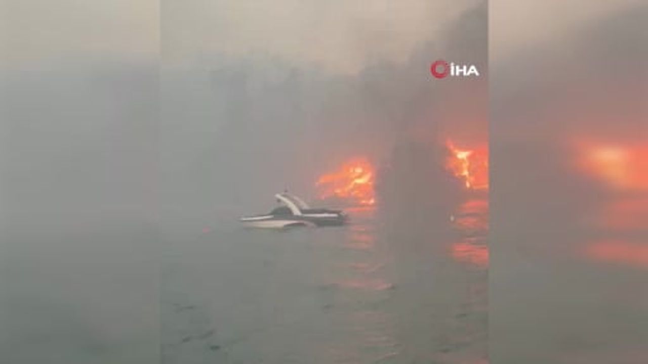 British Columbia'da yangınlar yerleşimleri vurdu: Bradley Creek yaklaşık 230 evi kullanılamaz hale getirdi