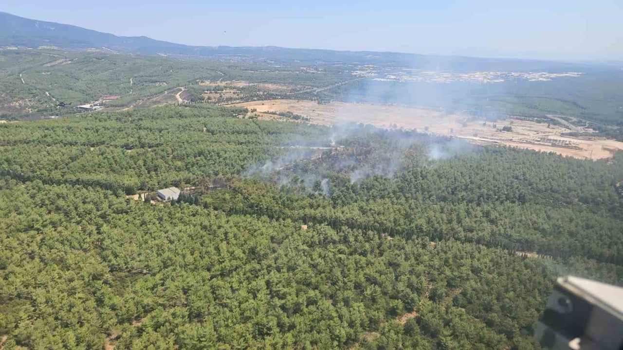 Buca'da alevlere hava ve kara müdahalesiyle kontrol sağlandı