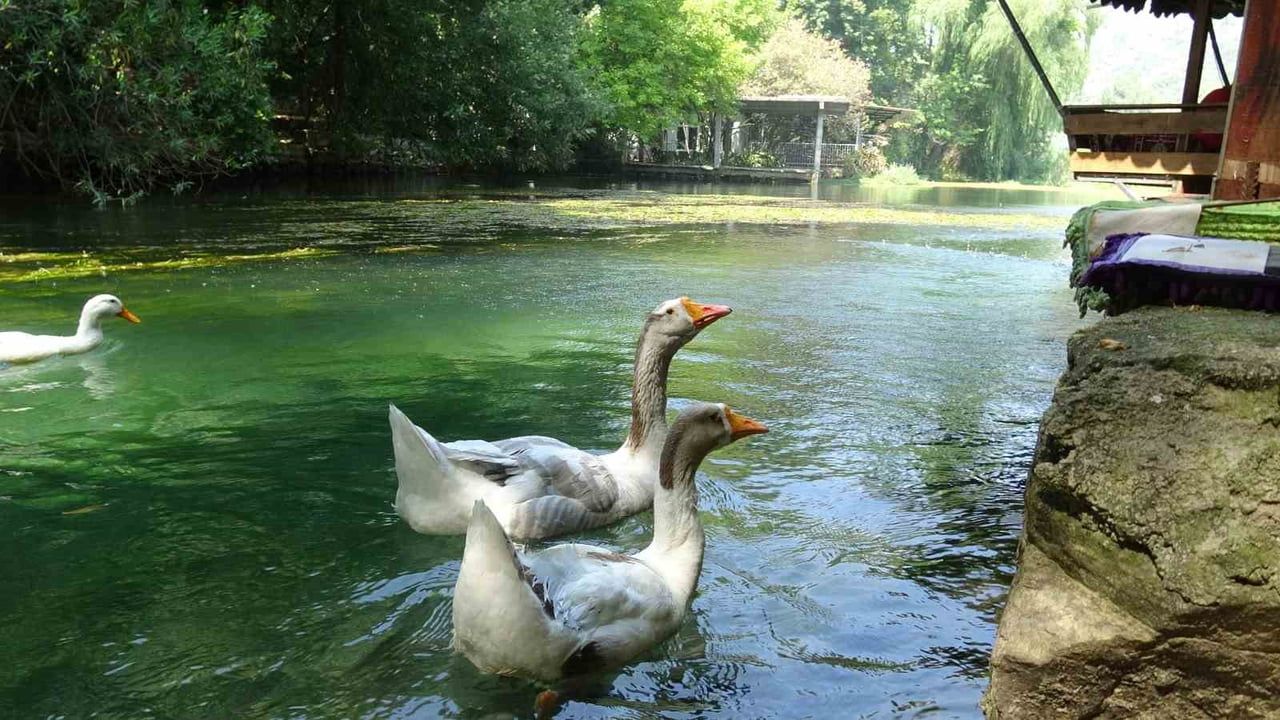 Bucak Vadisi doğayla iç içe: Akyaka'yı aratmayan berrak su ve sakinlik