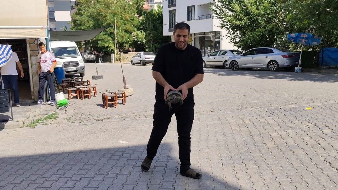 Bulanık'ta çarşı merkezinde trafikten kurtarılan kaplumbağa esnafa takdir kazandırdı