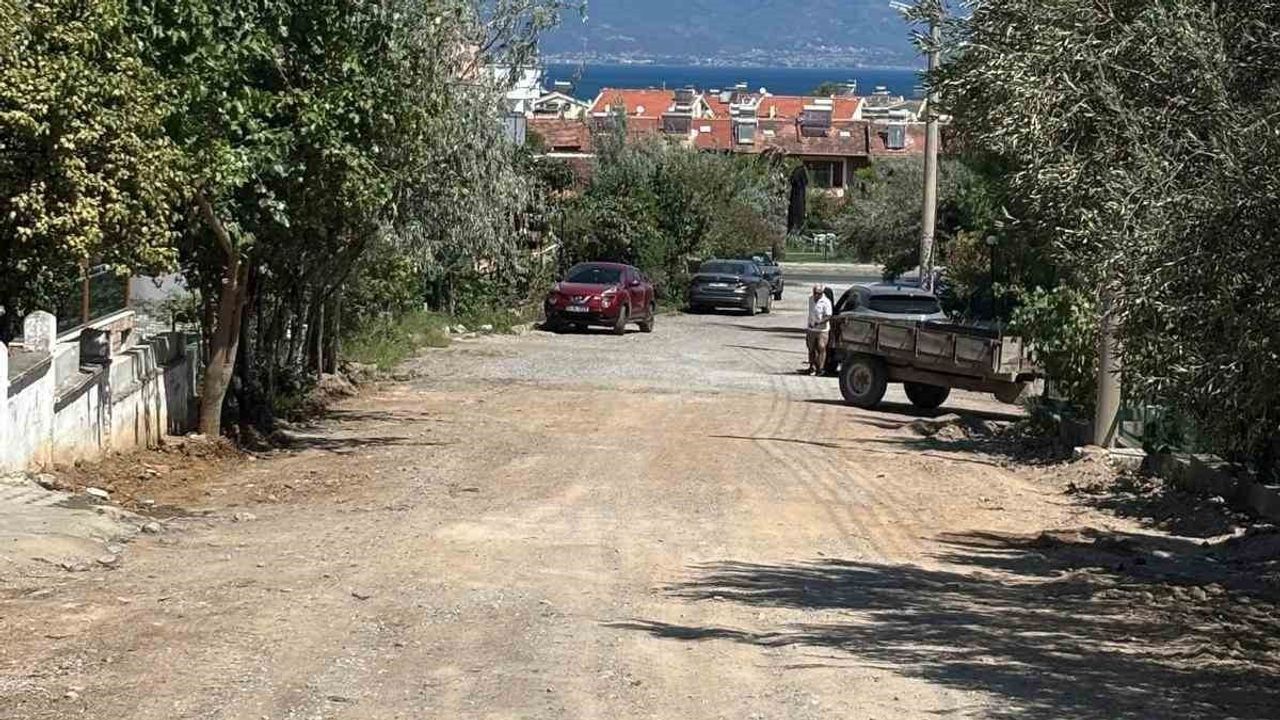 Burhaniye'de yol genişletme çalışması mahalle sakinlerinin ağaç itirazını büyüttü