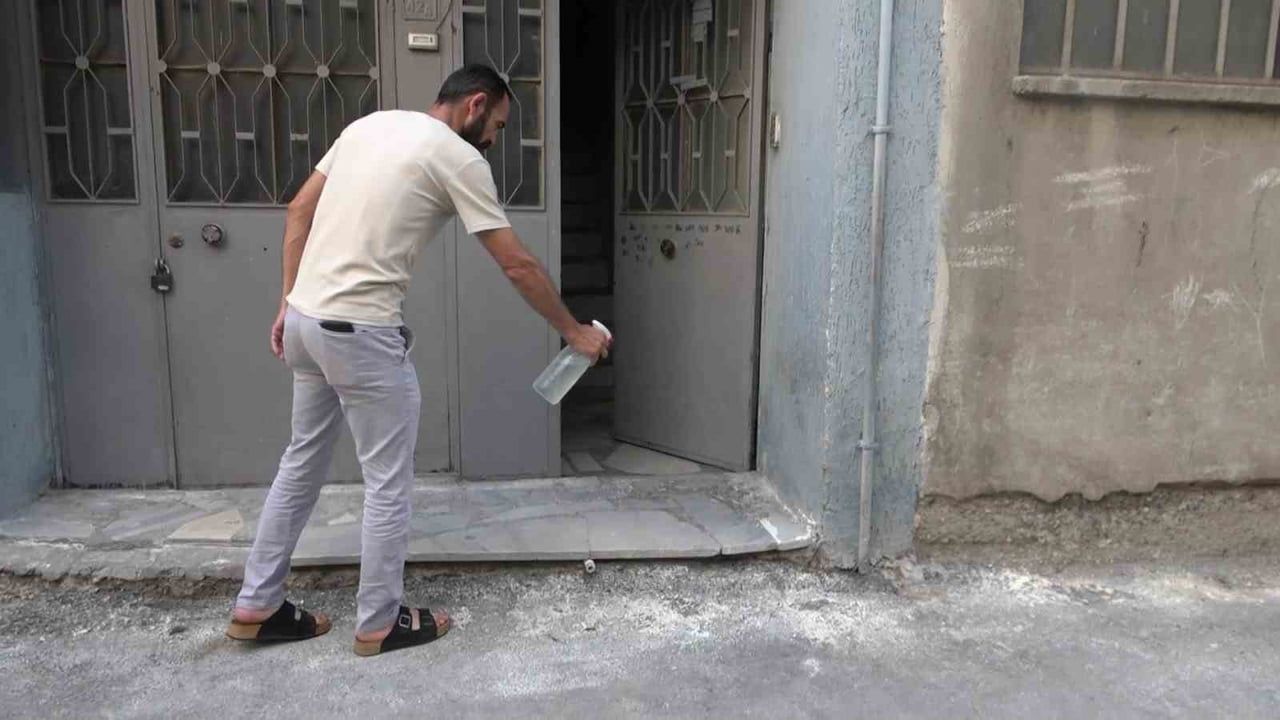 Bursa'da mahalleyi pireler bastı: terk edilmiş apartmanda hayvanlara kötü muamele iddiası