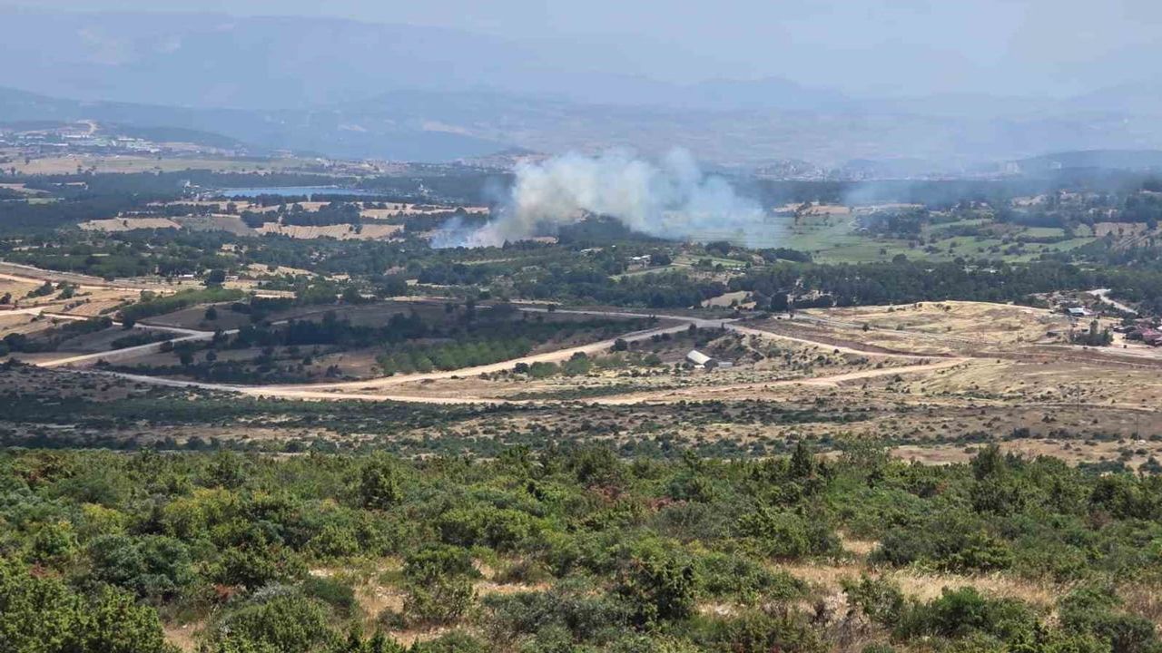 Çakırpınar'da alevler 30 dönümlük buğday tarlasını kül etti