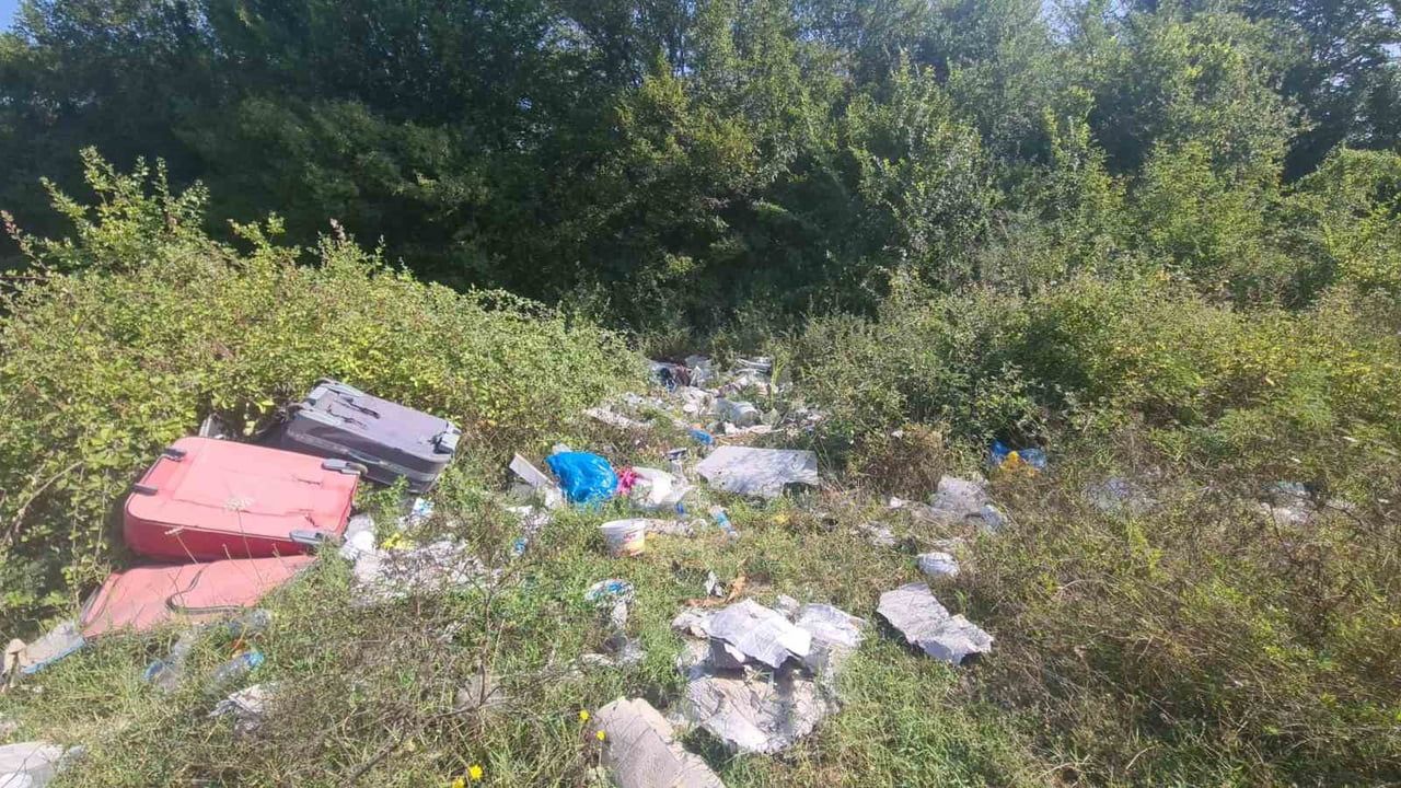 Cam şişelerin yansıması Çaycuma ormanında yangın endişesi yarattı