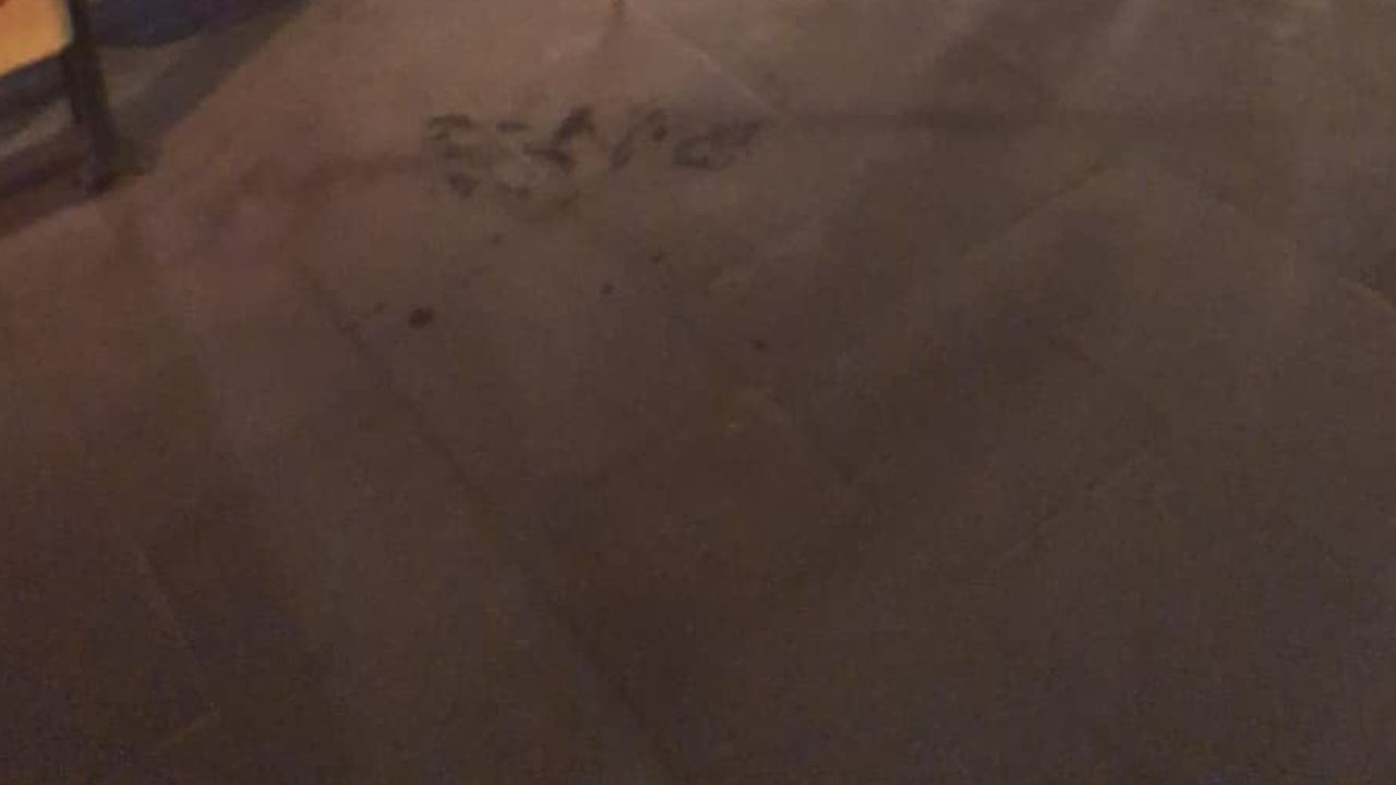 Cami avlusunda görülen yılan itfaiye ekiplerinin müdahalesiyle kontrollü şekilde doğaya bırakıldı