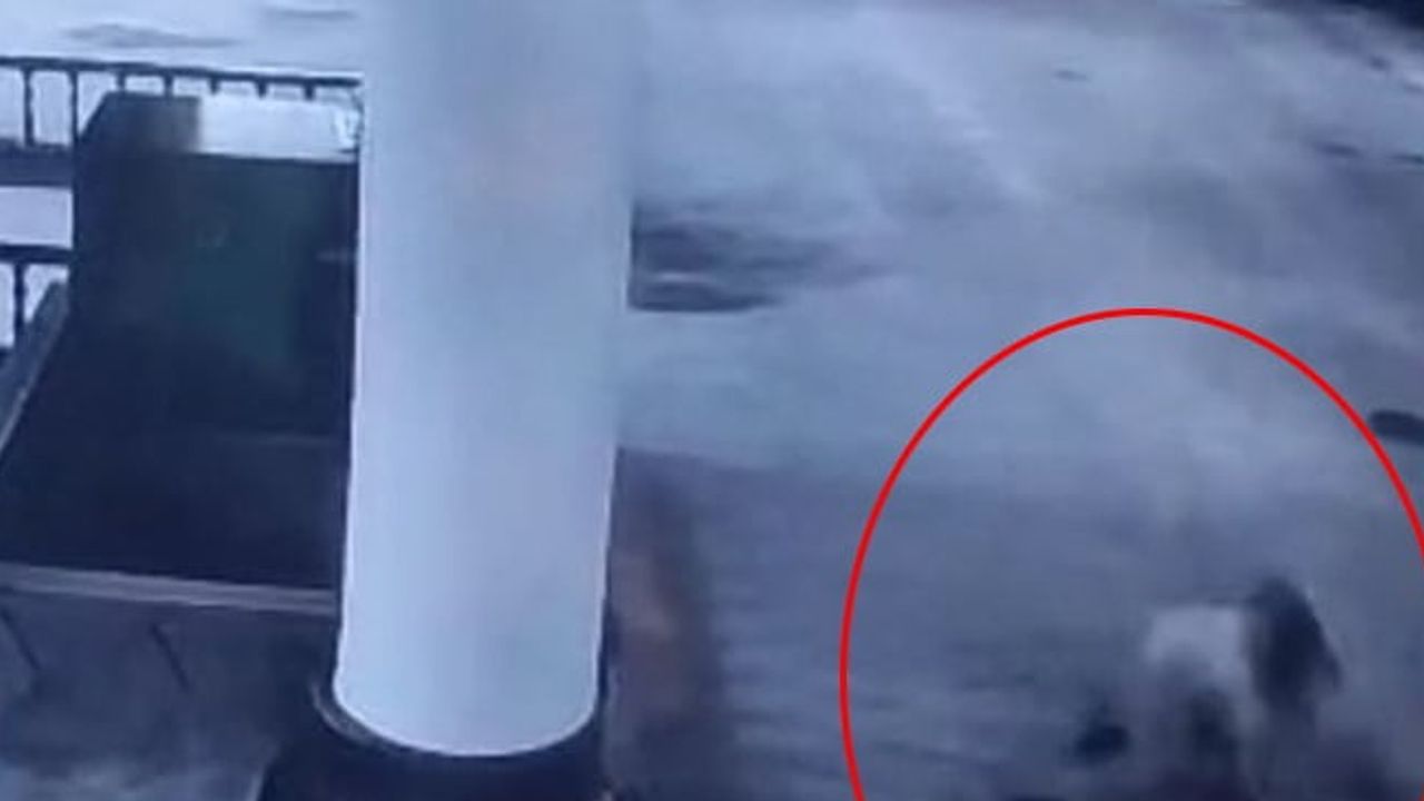 Caminin mahfilindeki iddia ters gitti: Görele'de çocuk hafif yaralandı