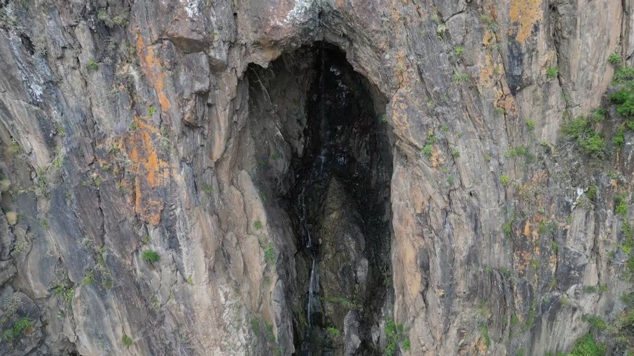 Çamların gölgesinde saklı vaha: Sarıkamış'ta Keklik Deresi