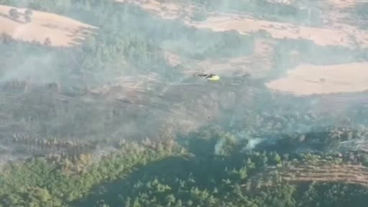 Çanakkale Bayramiç'te yangına müdahale sonuç verdi; yetkililer sorumluluk çağrısı yaptı