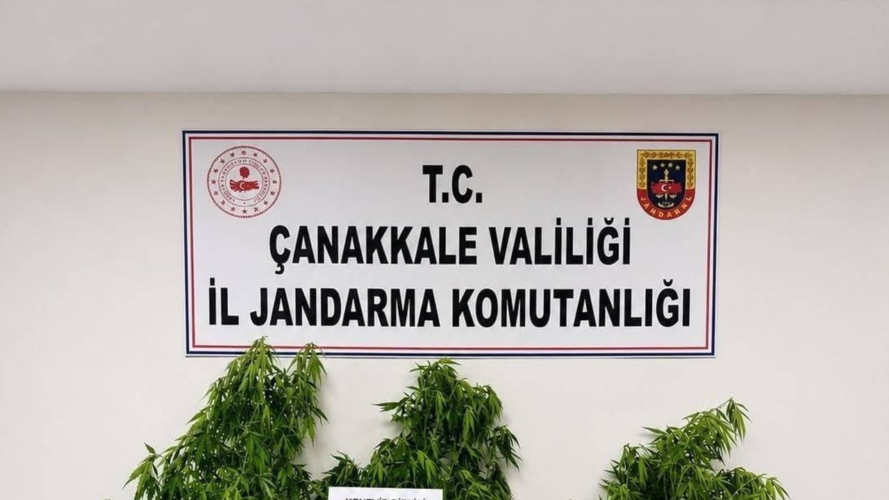 Çanakkale'de 35 adrese eş zamanlı jandarma baskını: 68 şüpheli yakalandı