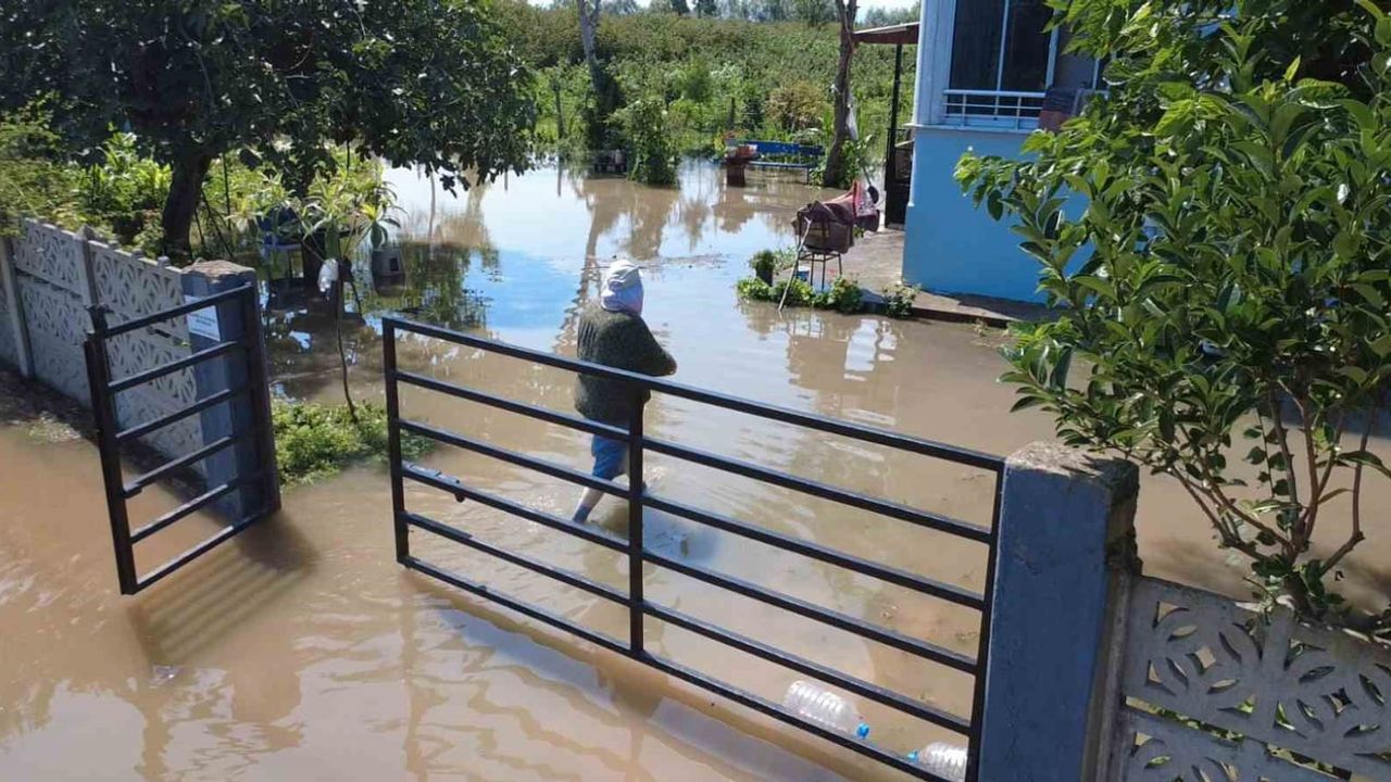 Çarşamba'da sağanak fındık bahçelerini göle çevirdi