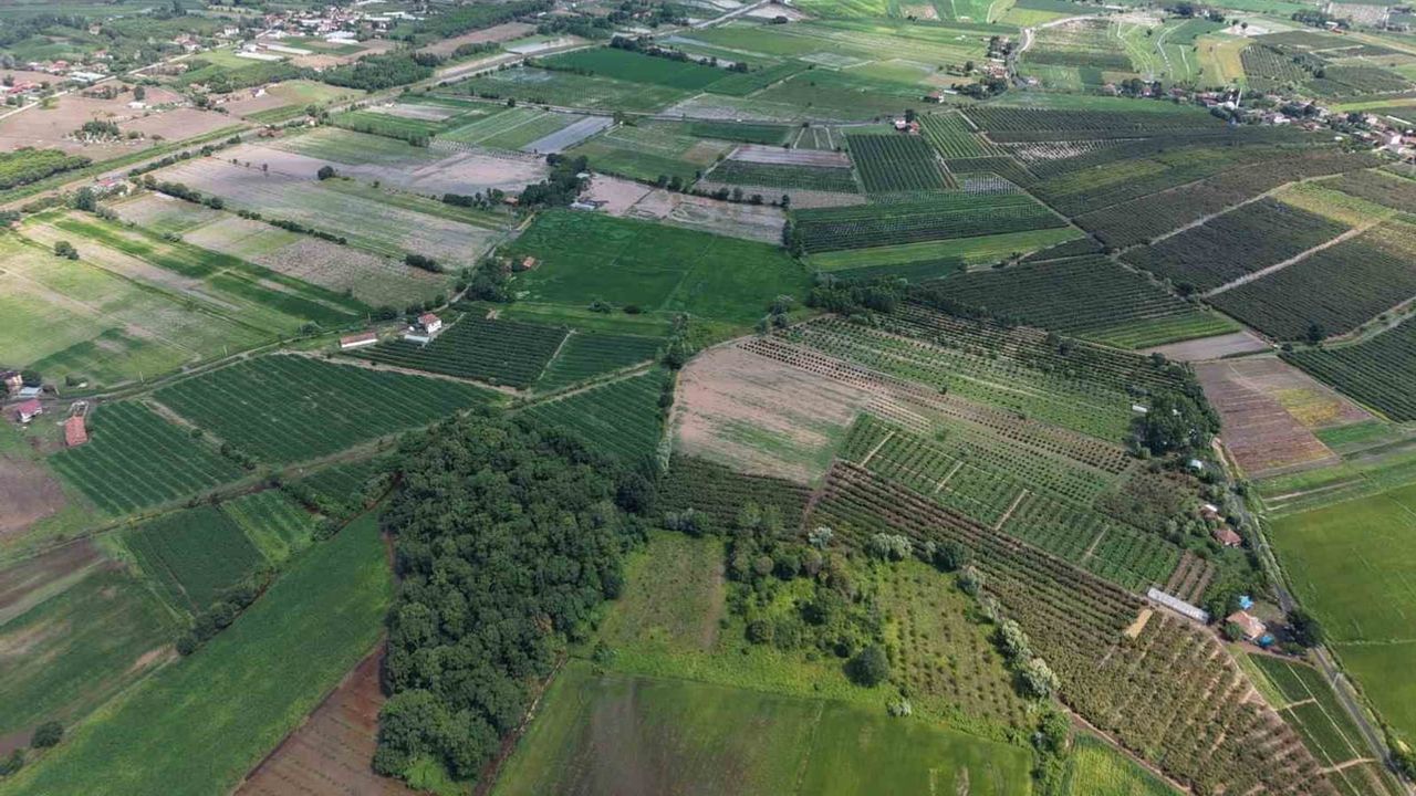 Çarşamba'da sağanak ovayı göle çevirdi: tarım ve evler su altında kaldı