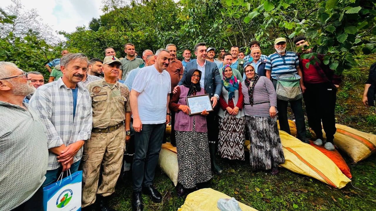 Çatalpınar'da imece ruhu: bir ton fındık cami için toplandı
