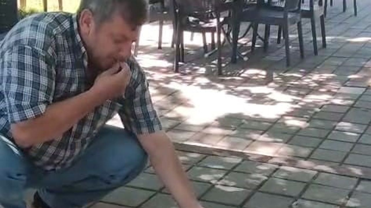 Çay bahçesinde sincap ve kumruya elinden yem veren İnegöl sakini ilgi çekti
