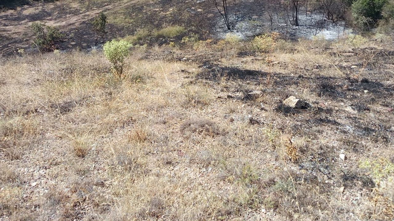 Çekerek'te anız yangını yaklaşık 25 dönüm arazide zarar bıraktı
