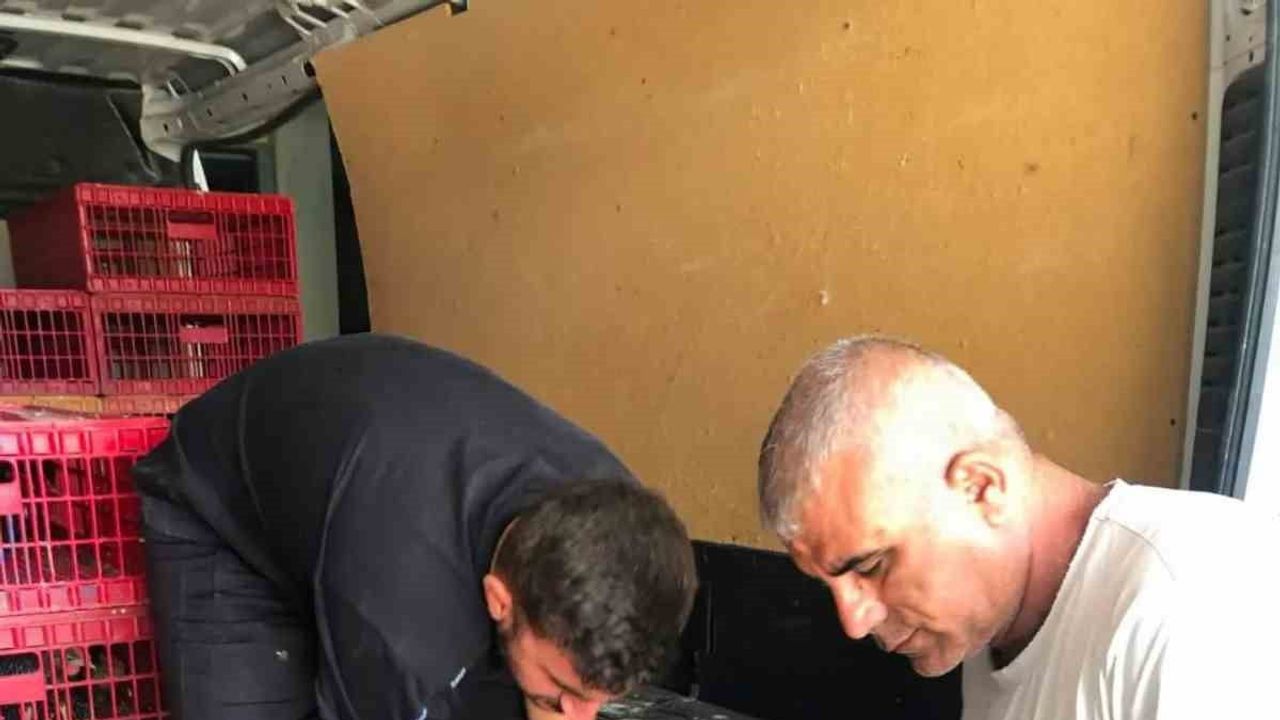 Çelikhan'da sürdürülebilir üretim hedefiyle 20 aileye 440 kümes hayvanı verildi