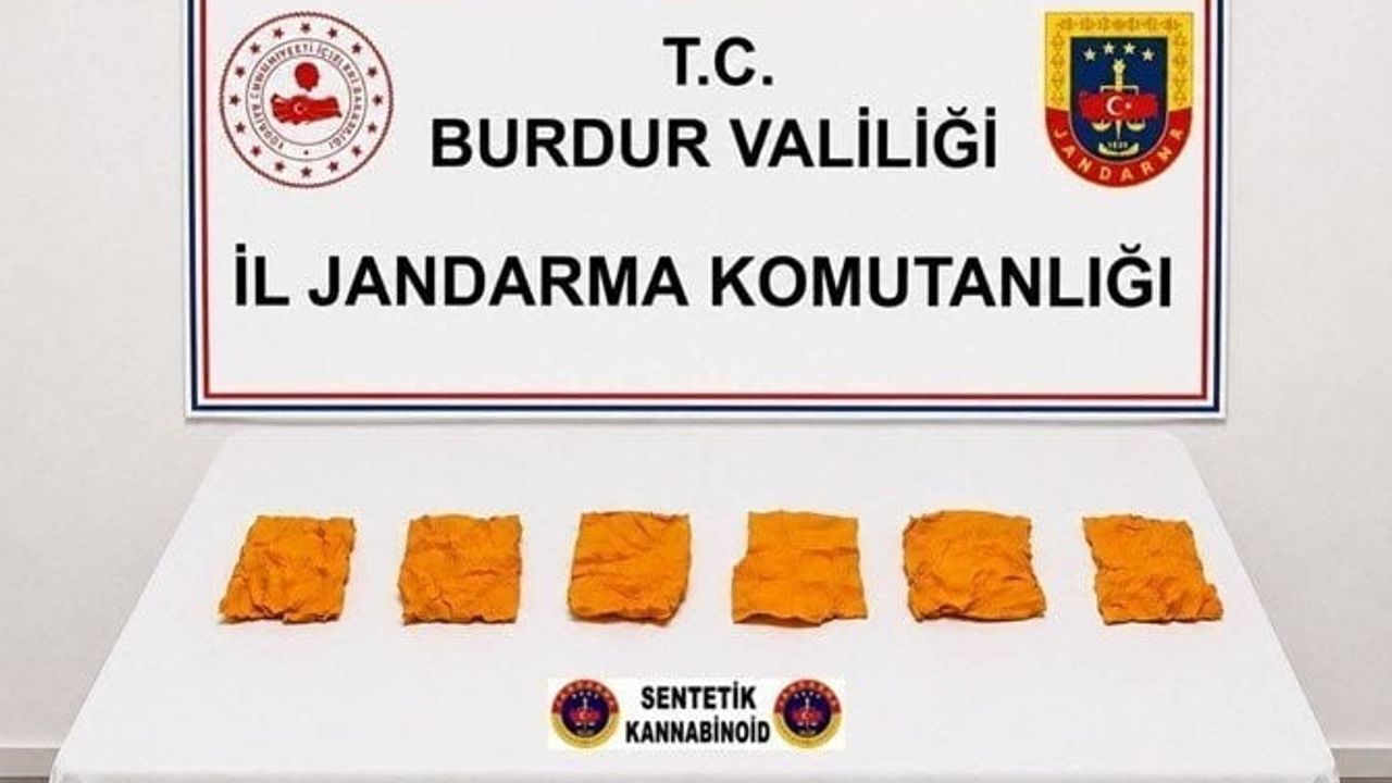 Çeltikçi'de geniş çaplı bonzai operasyonu: 4 şüpheli tutuklandı