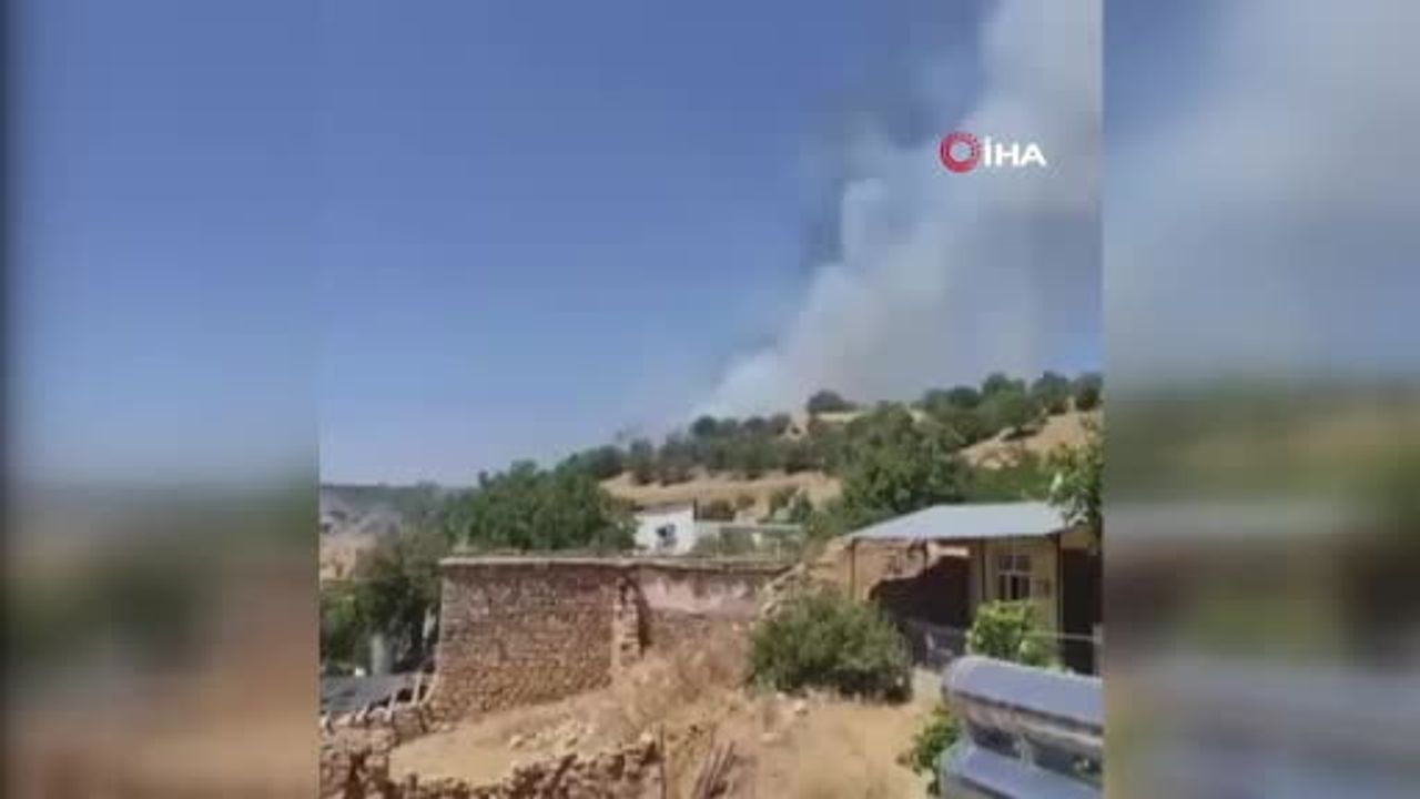 Çermik'te sabah yangını: meşelik yerleşime ulaşmadan söndürüldü