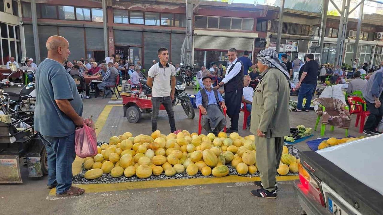 Çermik'ten pazara yayılan temuhane kavunu kokusu