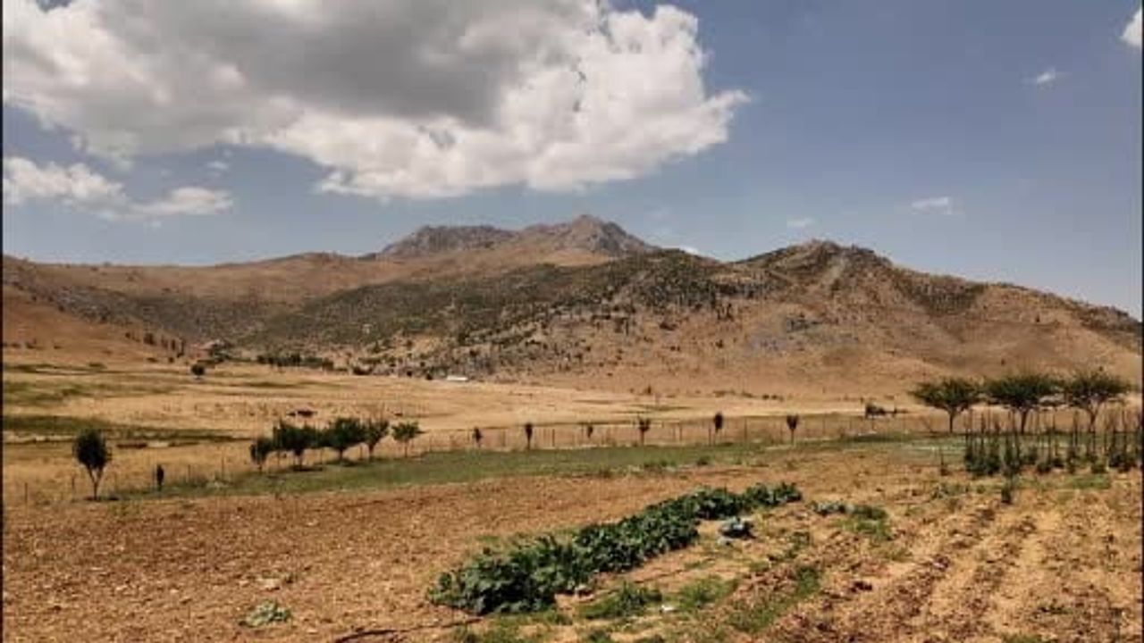 Cevizdalı sakinleri sınır anlaşmazlıkları nedeniyle yeniden Bitlis’e bağlanma talebinde bulundu