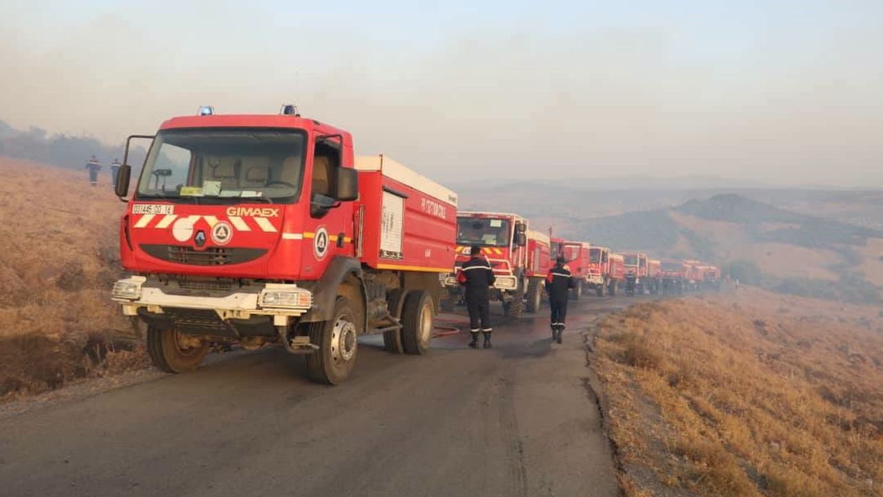 Cezayir'de geniş çaplı müdahale: 72 orman yangınından 64'ü kontrol altına alındı