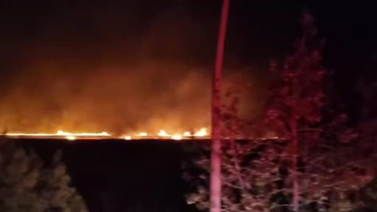 Çınar'da anız yangını geceyi aydınlattı, itfaiye dört saatte kontrol sağladı