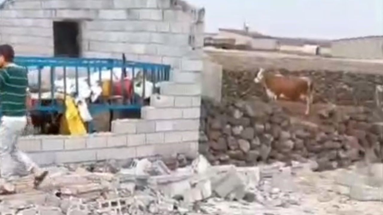 Çınar'da fırtına ahırı yıktı: iki çocuk ayaklarından hafif yaralandı